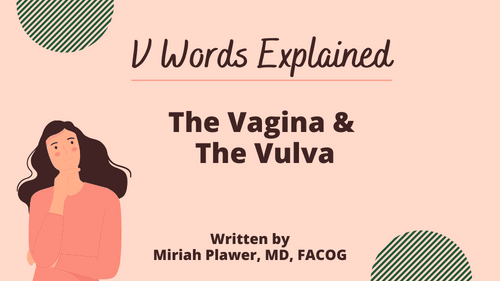 Vagina & The Vulva